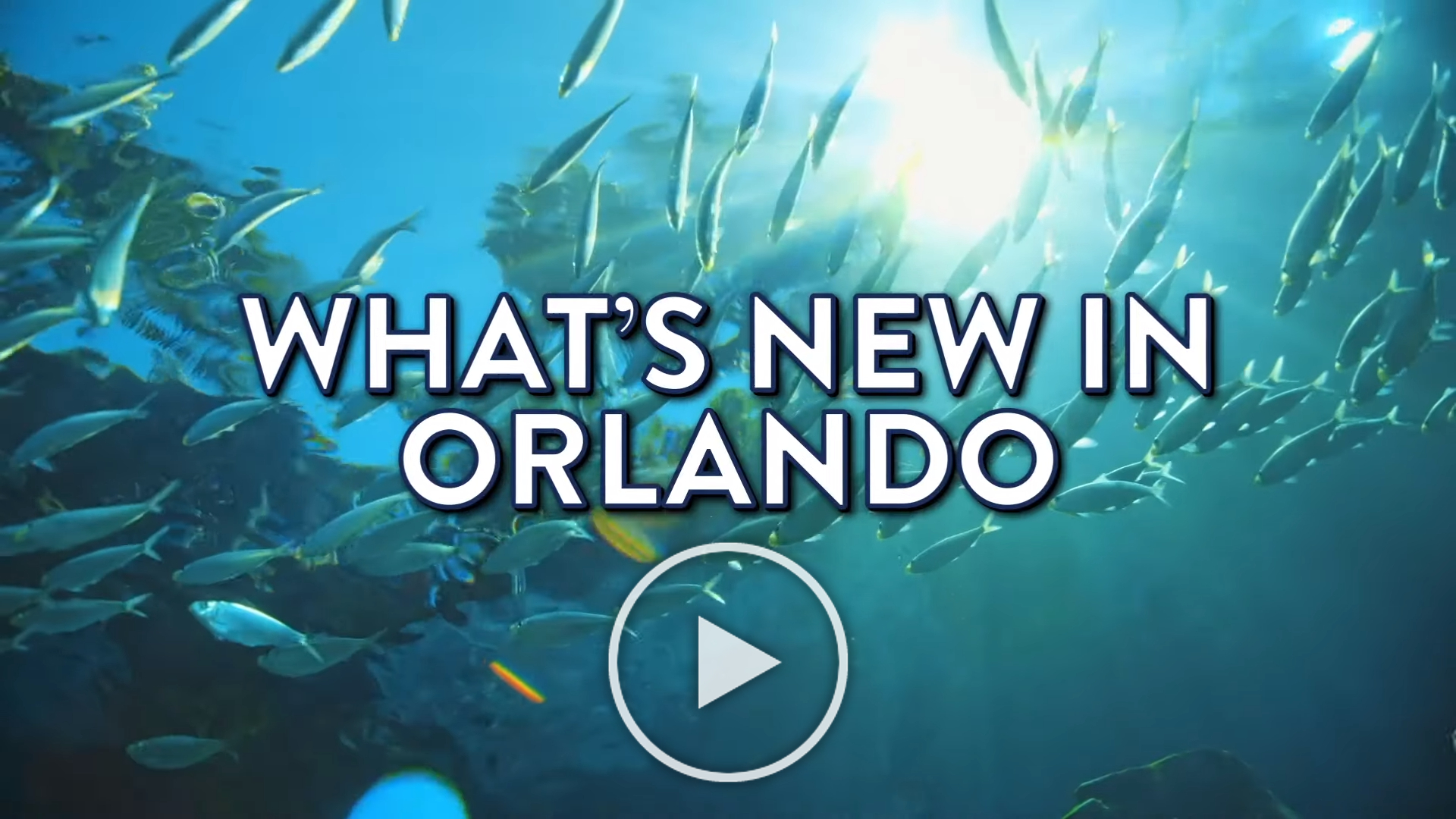 What's New in Orlando video